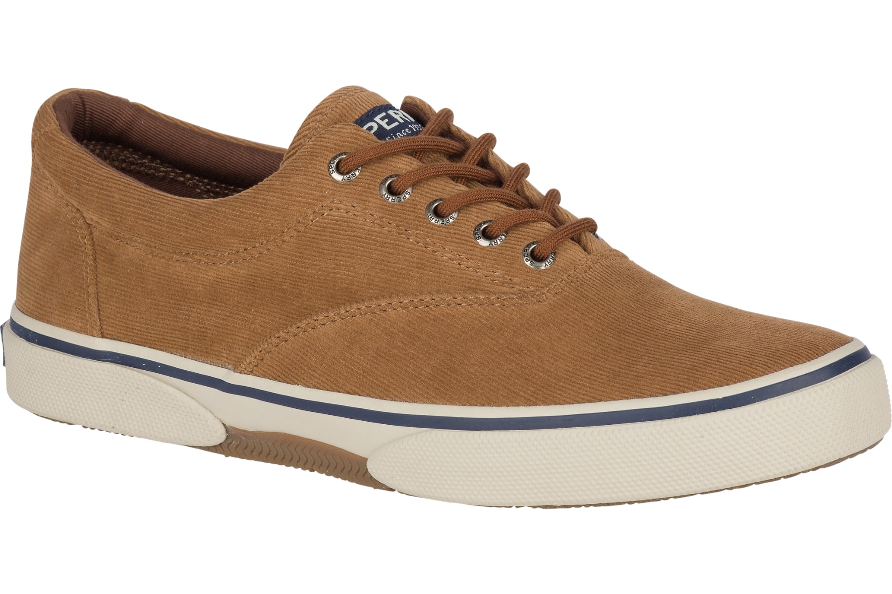 Sperry best sale halyard cvo