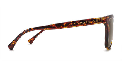 Kaenon Venice Polarized Sunglasses Tokyo Tortoise