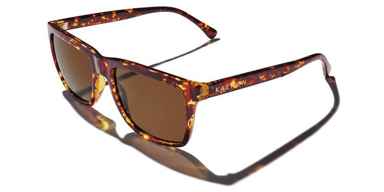 Kaenon Venice Polarized Sunglasses Tokyo Tortoise