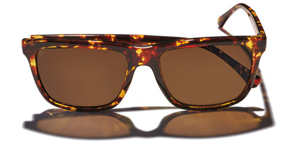 Kaenon Venice Polarized Sunglasses Tokyo Tortoise