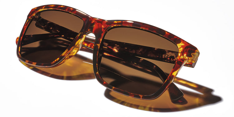 Kaenon Venice Polarized Sunglasses Tokyo Tortoise