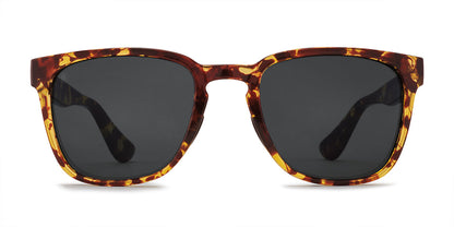 Kaenon Avalon Polarized Sunglasses Tokyo Tortoise