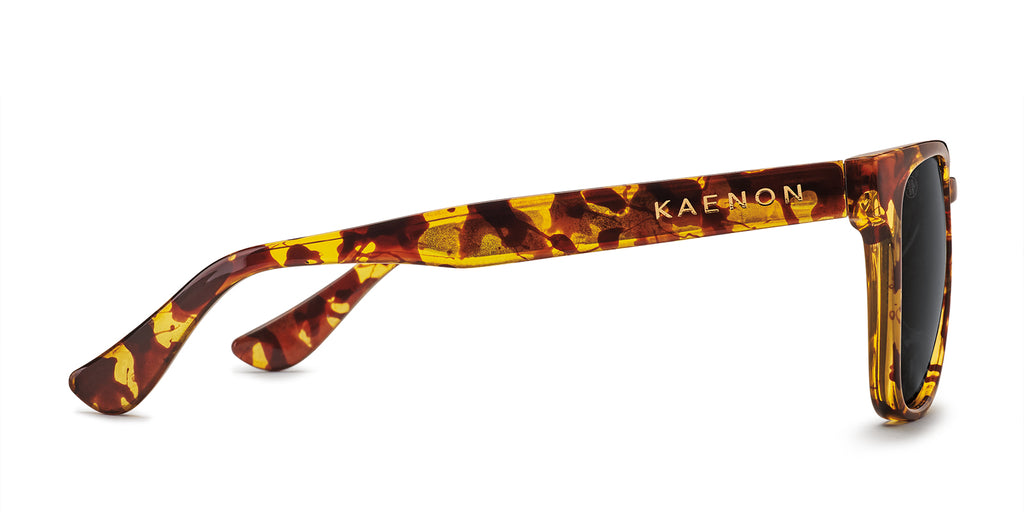 Kaenon Avalon Polarized Sunglasses Tokyo Tortoise