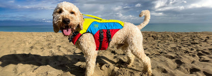 Spinlock Fido Flotation Lifejacket for Dogs