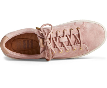 Sperry Women's Anchor Plushwave LTT Leather Sneaker